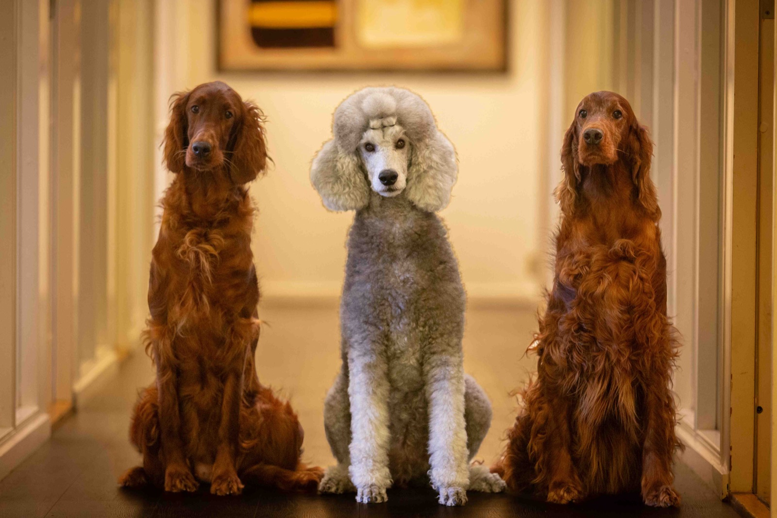 Holly, Sooki & Pippi